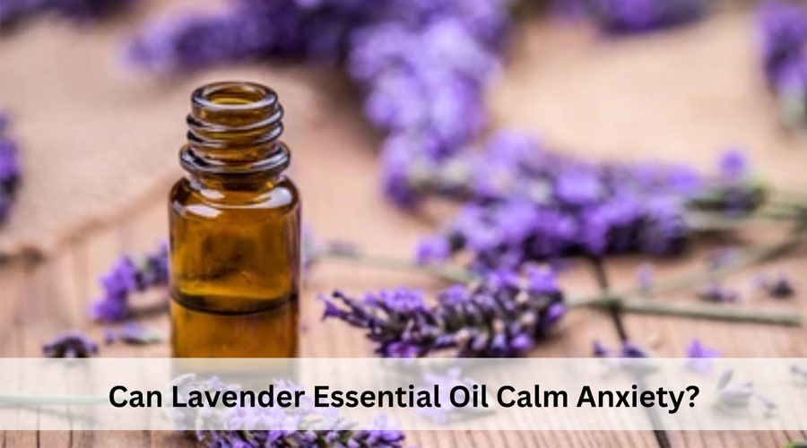 Can Lavender Essential Oil Calm Anxiety?