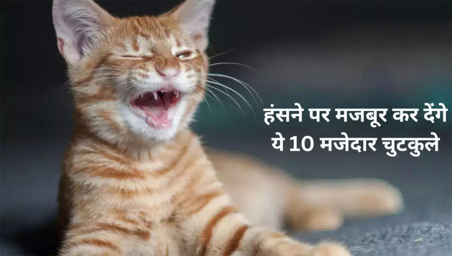 Top 10 Best Funny Jokes in Hindi